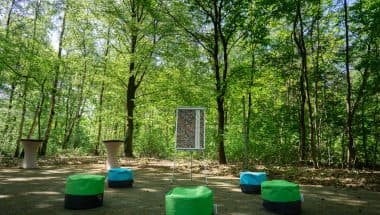 Meetingspace with chairs in the woods